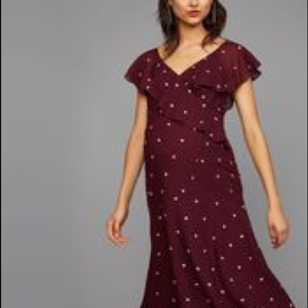 A Pea in the Pod Embroidery Maternity Dress NWT